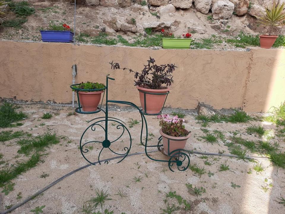 Emile Altwal Madaba Apartment Exterior foto