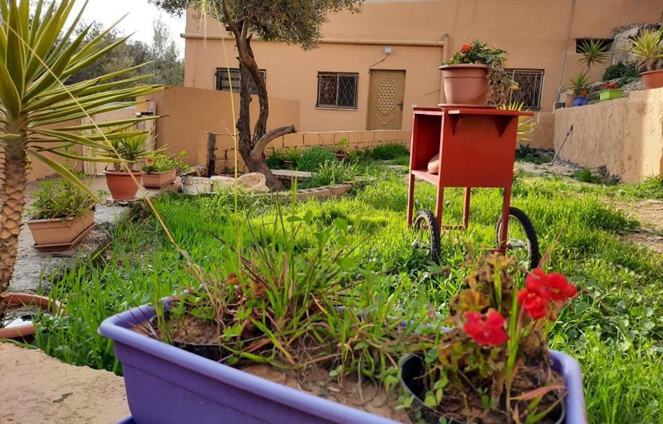 Emile Altwal Madaba Apartment Exterior foto